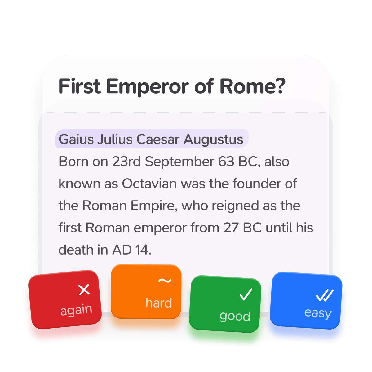 Flashcard Layout